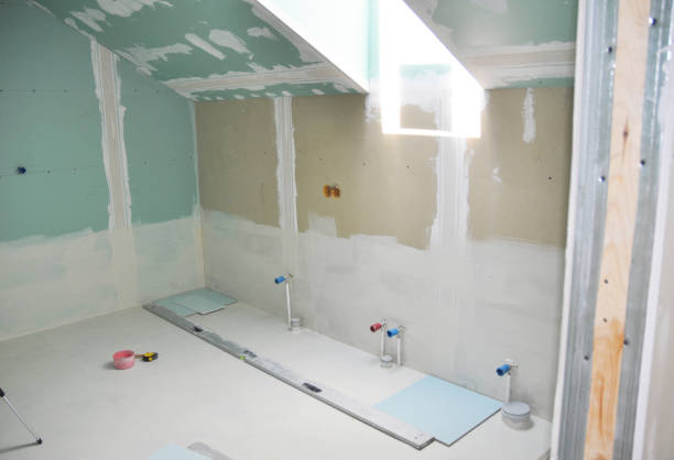 Nashotah, WI Mold Removal Company