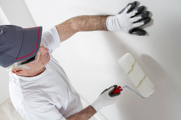 Best Mold Prevention Services  in Nashotah, WI