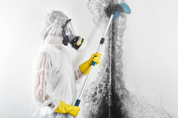 Best Dehumidification Services  in Nashotah, WI