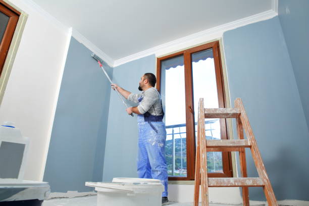 Best Industrial Mold Remediation  in Nashotah, WI