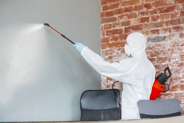 Best Forensic Mold Investigation  in Nashotah, WI