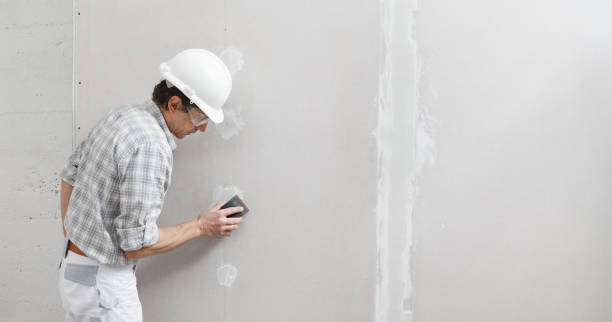 Best Mold Documentation for Insurance Claims  in Nashotah, WI