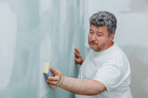 Best Residential Mold Inspection & Testing  in Nashotah, WI