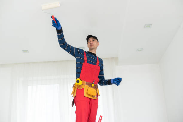 Best Mold Odor Removal Services  in Nashotah, WI
